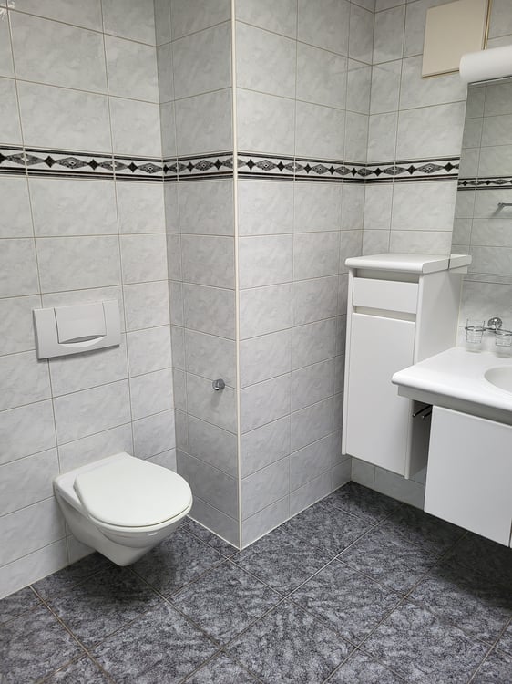 3.5-Zimmer Attikawohnung (109 m2) mit Terrasse 9