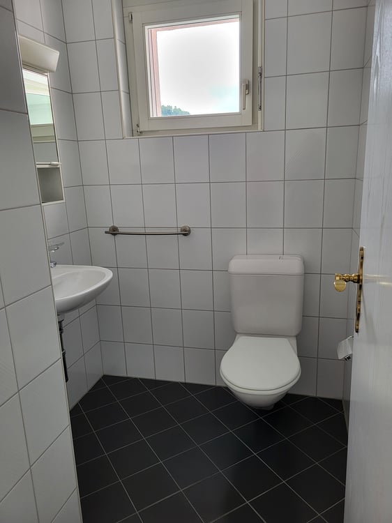 3.5-Zimmer Attikawohnung (109 m2) mit Terrasse 11