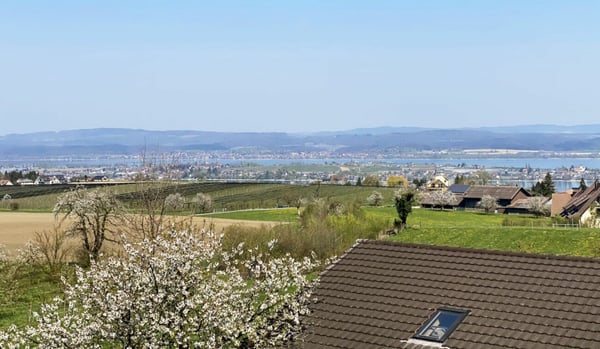 Stimmiges Einfamilienhaus in baubiologischer Bauweise 3