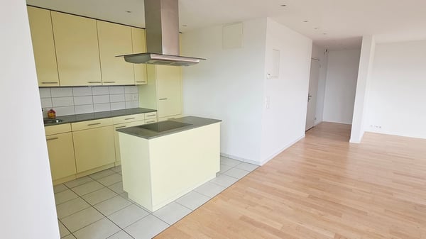 Gekühlte 3.5-Zimmer-Attikawohnung mit Blick über Zürich am Bucheggplatz 13