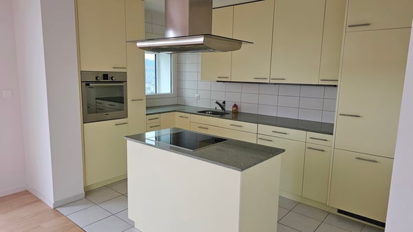 Gekühlte 3.5-Zimmer-Attikawohnung mit Blick über Zürich am Bucheggplatz 7