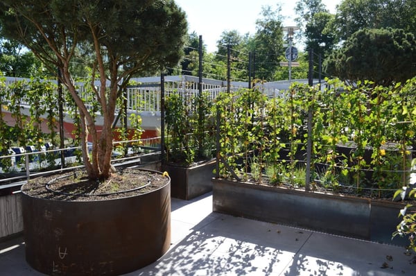 Gekühlte moderne 2.5-Zimmer-Wohnung mit Gartenterrasse 9