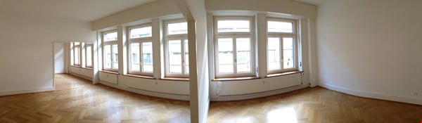 Charmante 1-Zimmer-Altbauwohnung an der Greifengasse in Basel 3