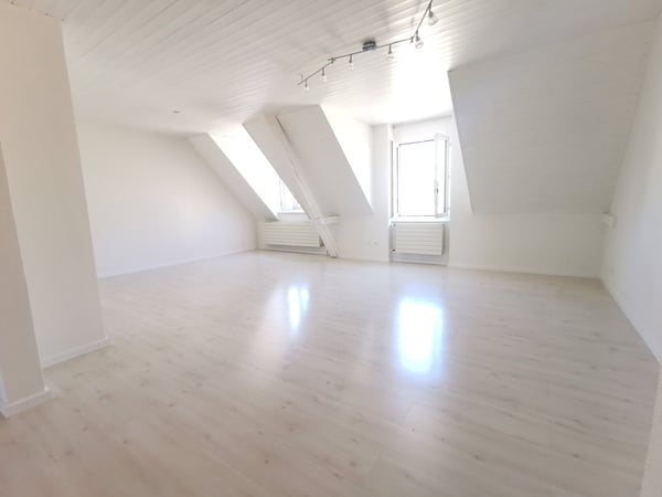 Premiers 2 mois GRATUITS! Jolie appartement de 1.5 pièces au plein centre de Delémont 15