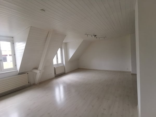 Premiers 2 mois GRATUITS! Jolie appartement de 1.5 pièces au plein centre de Delémont 16