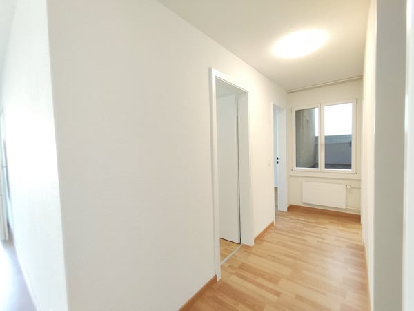 Helle neu renovierte 3-Zimmer-Wohnung mit Balkon in Spiez 5