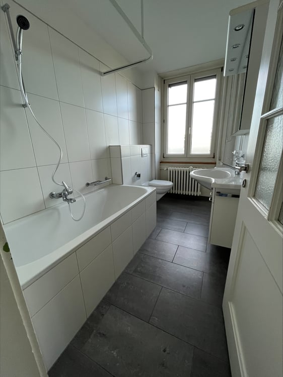 Wohnen mit Aareblick! 3