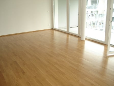 Helle, moderne, Wohnung mit sehr grossem Balkon 30.9m2 5