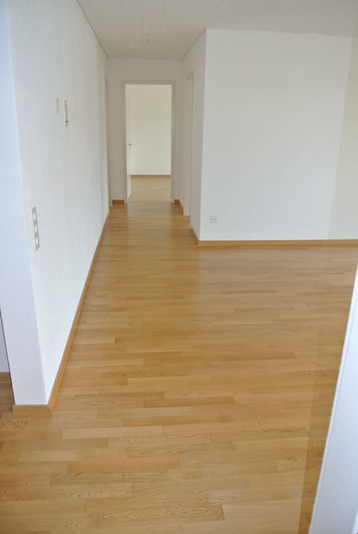 1.5 Zimmer Wohnung an ruhiger Lage 3