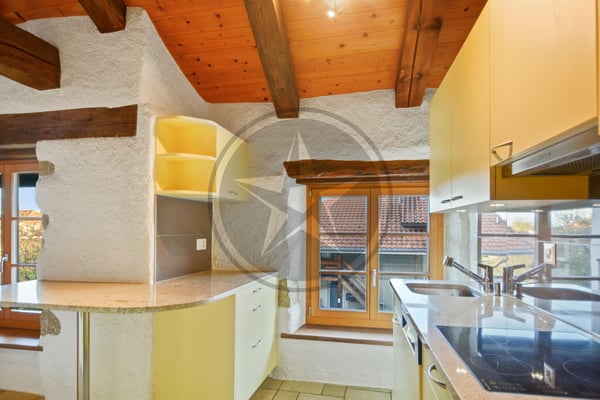 Magnifique ferme mitoyenne rénovée comprenant 2 appartements 6