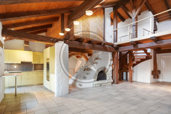 Magnifique ferme mitoyenne rénovée comprenant 2 appartements 1
