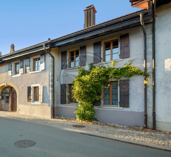 Magnifique ferme mitoyenne rénovée comprenant 2 appartements 12