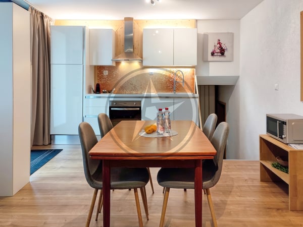 Spacieuse propriété comprenant 2 appartements et un atelier artisanal 13