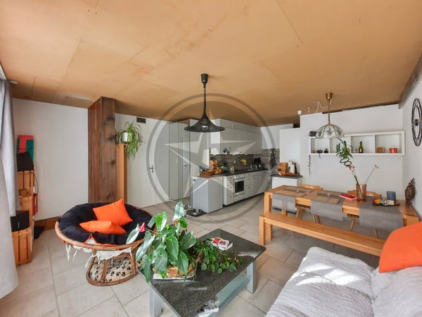 Ferme mitoyenne rénovée avec logements, grange et terrain à bâtir 3