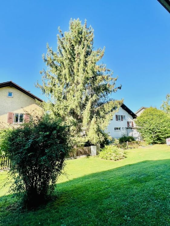 2-Zimmerwohnung - Balkon mit Blick auf den Niesen 12