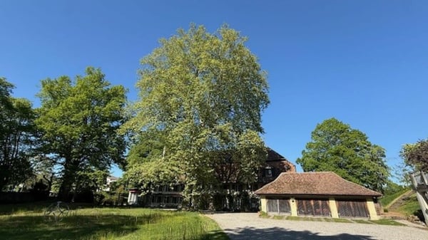3 1/2-Zimmer-Maisonette-Wohnung im Schlosspark 13