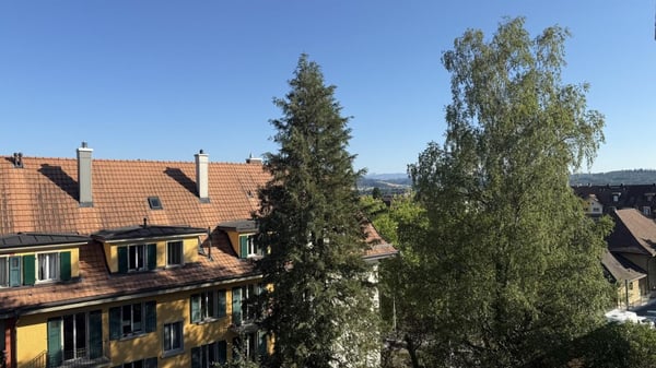 2 1/2-Zimmer-Dachwohnung mit schöner Aussicht 3