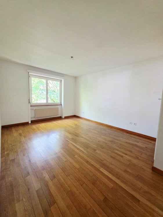 Nachmieterschaft gesucht für eine charmante 4.5 Zimmerwohnung 4