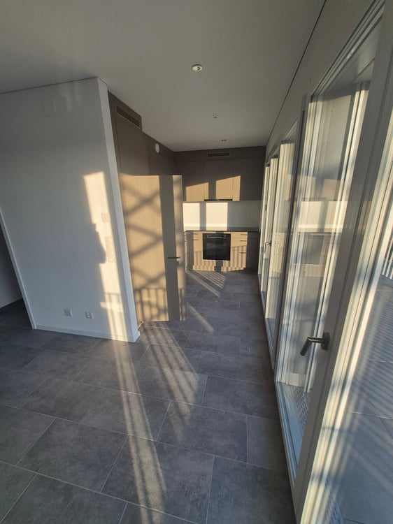 neu erstellte 1.5 Attika Wohnung mit toller Terrasse mit Weitsicht 4