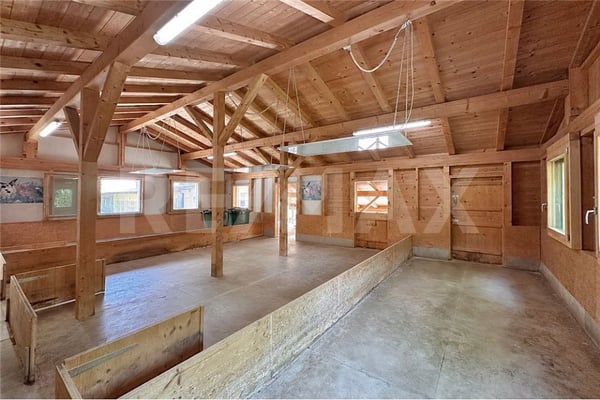 Viel Haus fürs Geld - 7½ Zimmer mit Nebengebäude, nur 17 km von Spiez 12