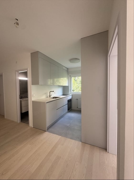 Beau 1.5 pcs complètement rénové avec vue dégagée sur lac 2