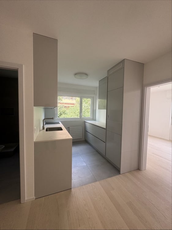 Beau 1.5 pcs complètement rénové avec vue dégagée sur lac 1