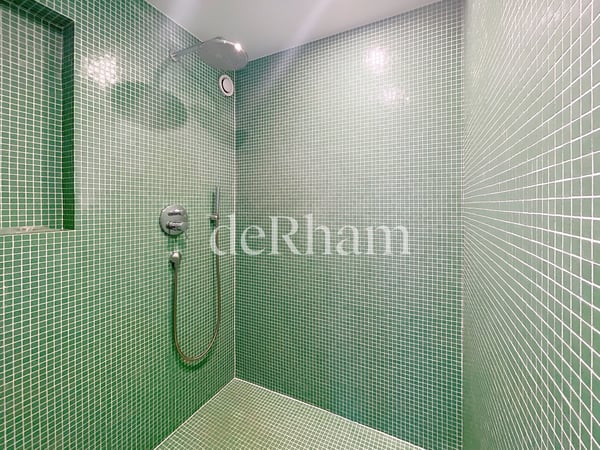 Splendide appartement de 1.5 pièces avec belle vu lac! 11