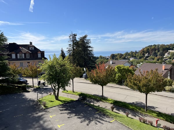 Splendide appartement de 1.5 pièces avec belle vu lac! 1