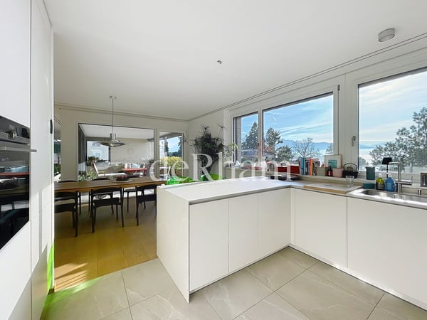 LUTRY: Splendide 1.5 avec terrasse et vue lac! 3