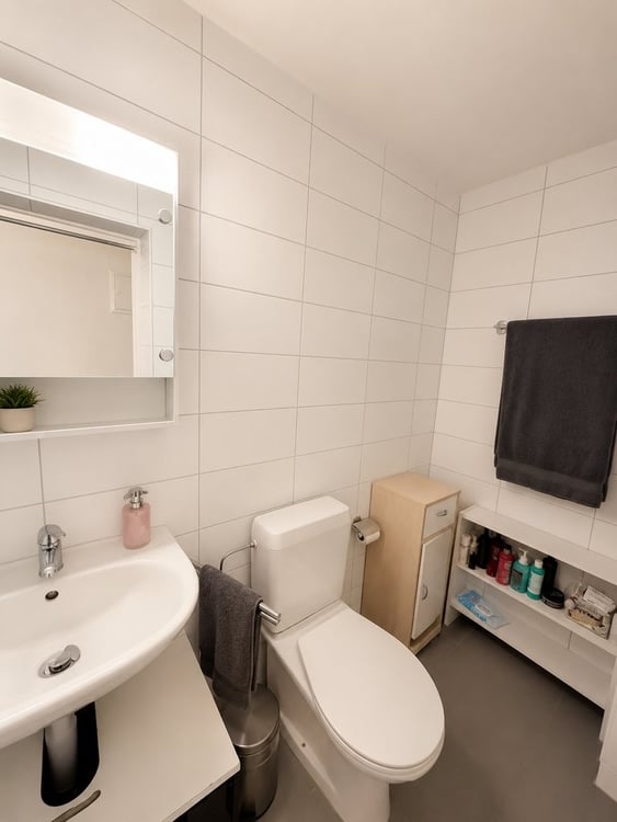 Joli 3 pièces avec mezzanine et poutres apparentes 5
