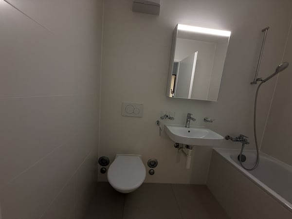 Incroyable appartement rénové 6