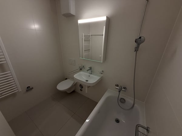 Incroyable appartement rénové 7