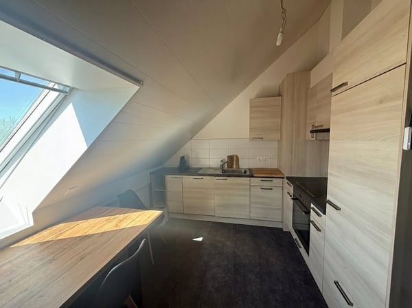 Appartement de 2.5 pièces en duplex au dernier étage 3