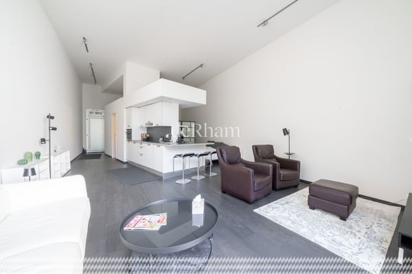 Magnifique loft au coeur de Lausanne 3