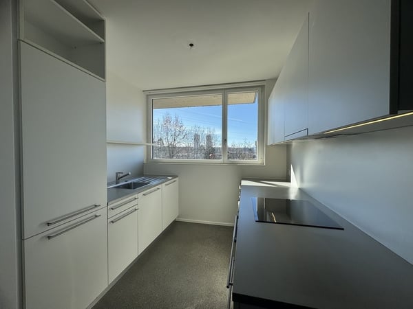 Magnifique appartement de 4.5 pièces en duplex 3