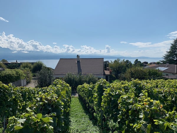 Lutry - Villa familiale de 6 pièces avec vue sur le lac 2