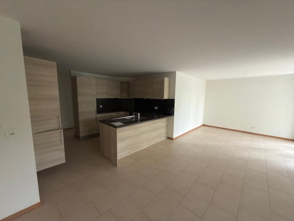 Spacieux appartement de 4.5 pièces avec grand jardin 3