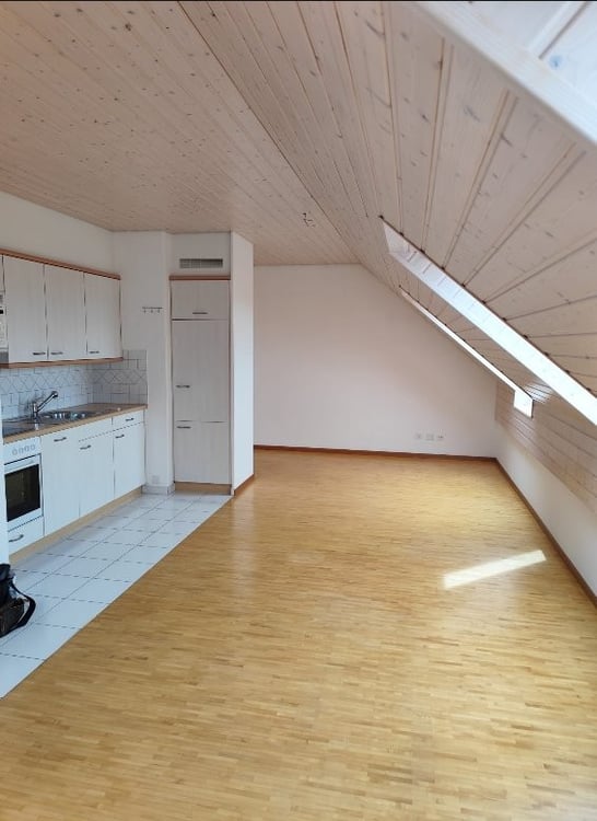 Bel appartement de 2 pièces dans les combles - 56 m2 3