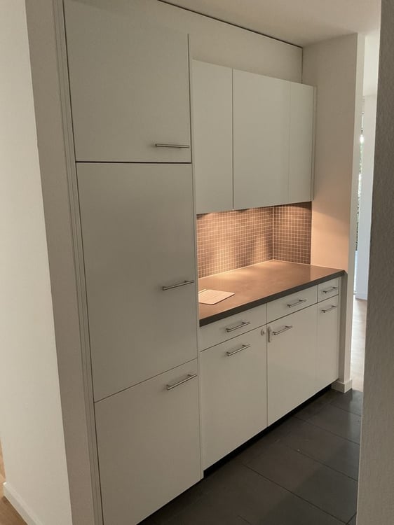 Superbe appartement de 3.5 pièces - Quartier de la Sallaz 4