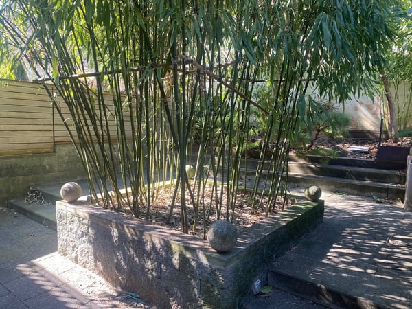 Charmantes Büro / Wohnatelier / Loft / Atelier im Herzen der Berner Altstadt 7