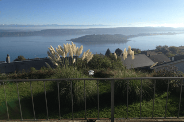 Charmante 2.5-Zimmer-Terrassenwohnung mit traumhaftem Seeblick 1