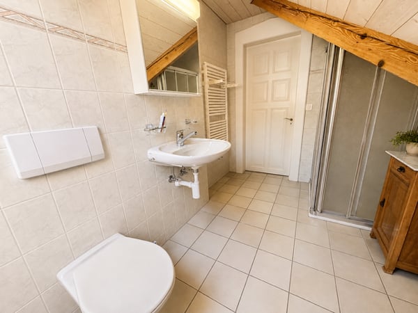Grosszügiges 12,5-Zimmer-Einfamilienhaus mit viel Umschwung in Trubschachen 30