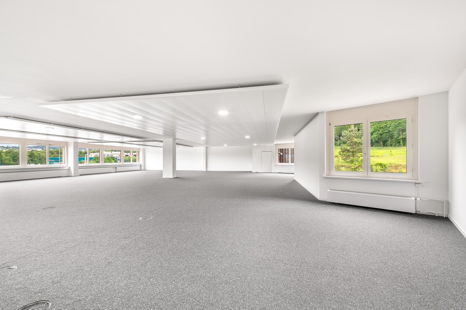 Large empty room, high ceilings, white walls, multiple windows, radiator, white ceiling panels, grey carpeted floor