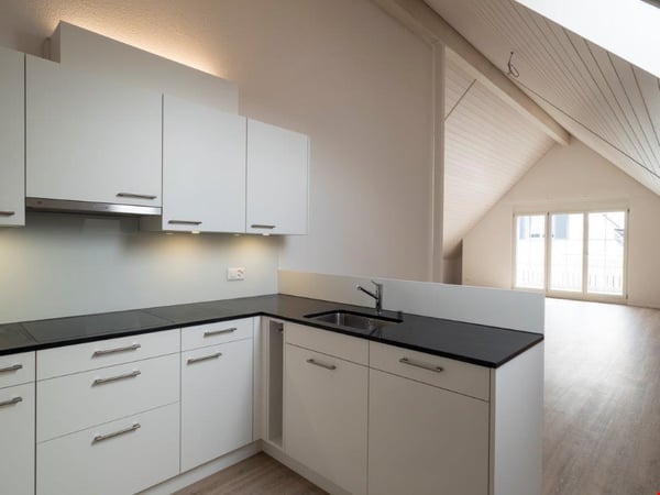 3.5 Zimmerwohnung mit 120 m2 Balkon Richtung Süden 4