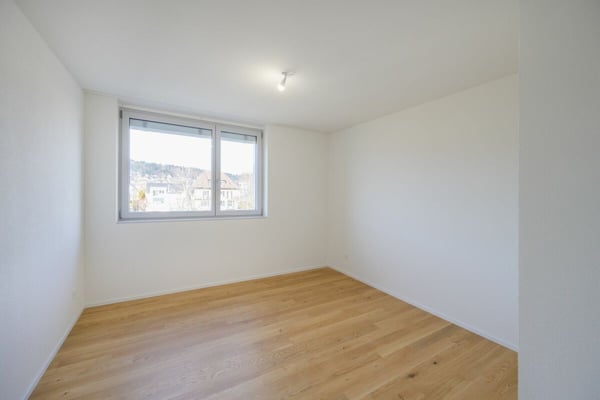 Très bel appartement de 4.5 pièces entièrement neuf avec balcon-loggia 7