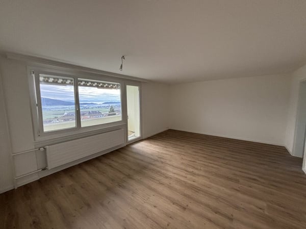 Appartement de 1 pièces entièrement rénové 4