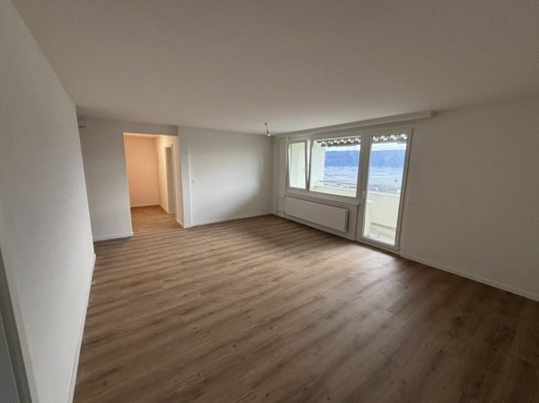 Appartement de 1 pièces entièrement rénové 3