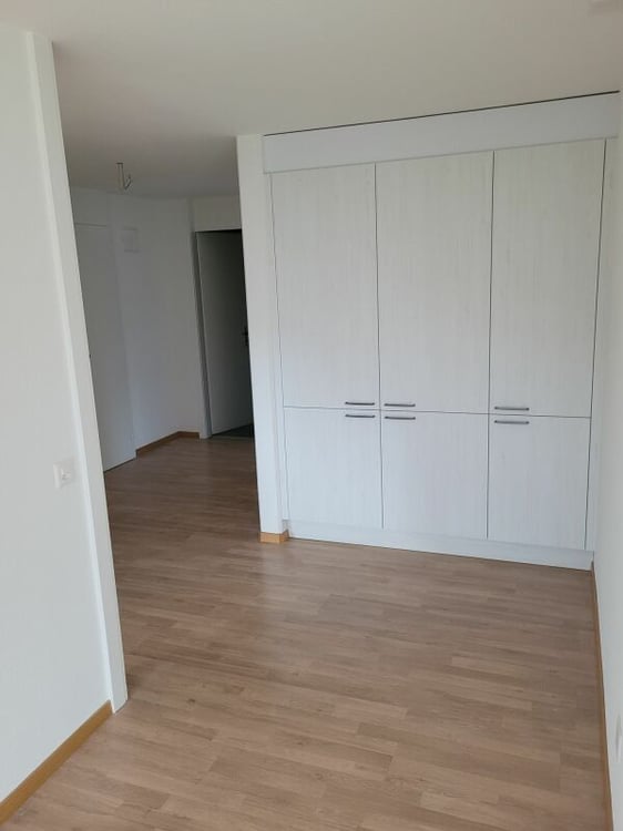 Appartement dernièrement rénové ! 5