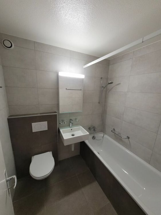 Appartement dernièrement rénové ! 8