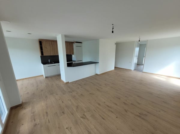 Appartement familial de 4.5 pièces rénové 2
